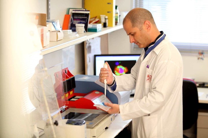 ​בתמונה: מתוך פעילות יום המודעות לסוכרת ברמב"ם. 
צילום: פיוטר פליטר.

צילום: פיוטר פליטר. 
צילום: נתנאל אייזיק, דוברות רמב"ם. 

של קורס הטראומה הבינלאומי
צילום: פיוטר פליטר.

צילום: פיוטר פליטר
צילום: פיוטר פליטר. 

​בתמונה: ורד הראל
צילום: ג